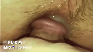 Male XXX 2